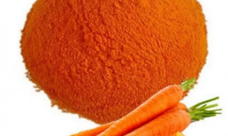 Продается морковный порошок - фото № 1