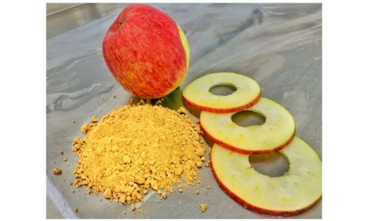 Продается яблочный порошок - фото № 1