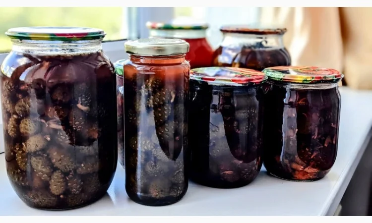 Цілющий сироп із сосновиз шишок - фото № 1