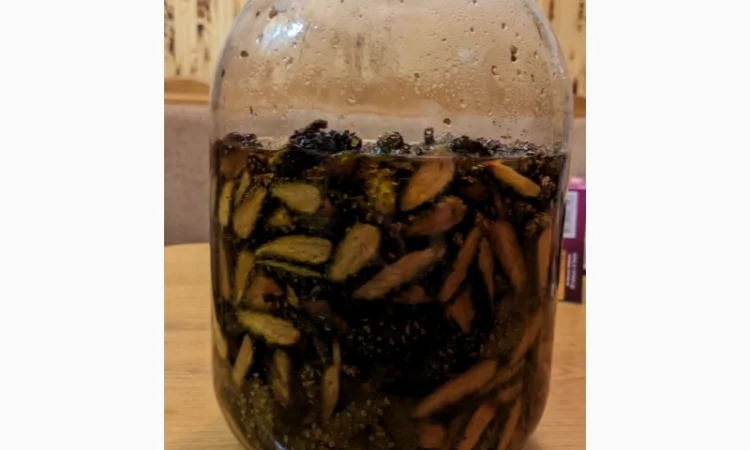 Цілющий сироп із сосновиз шишок - фото № 2