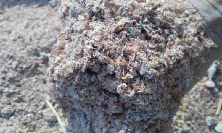 Куплю зерновідходи різні відходи отходи - фото № 1