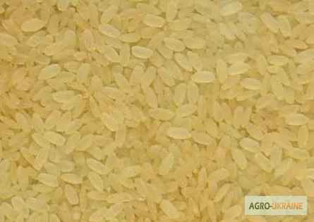 Бакалея, полный ассортимент - фото № 10