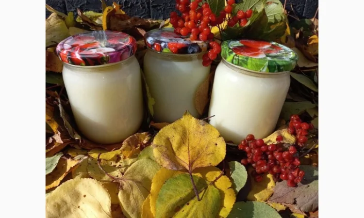 Борсучий жир - фото № 1