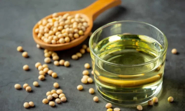 Олія соєва від виробника - фото № 1