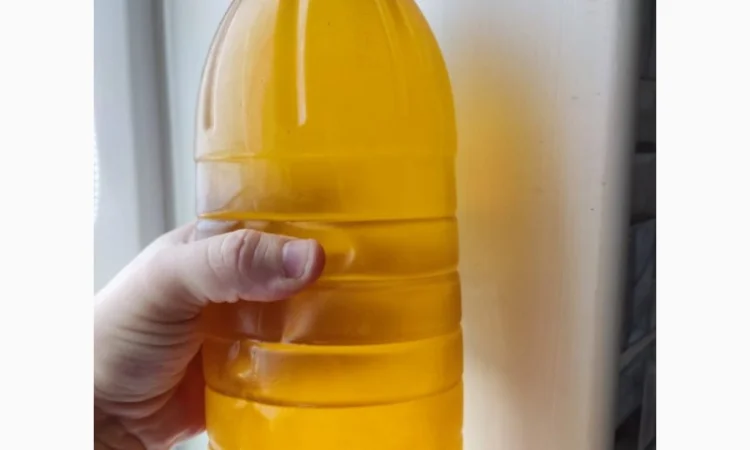 Подсолнечное масло фильтрованное очищенное в таре и наливом - фото № 1