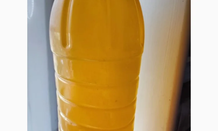 Подсолнечное масло фильтрованное очищенное в таре и наливом - фото № 2