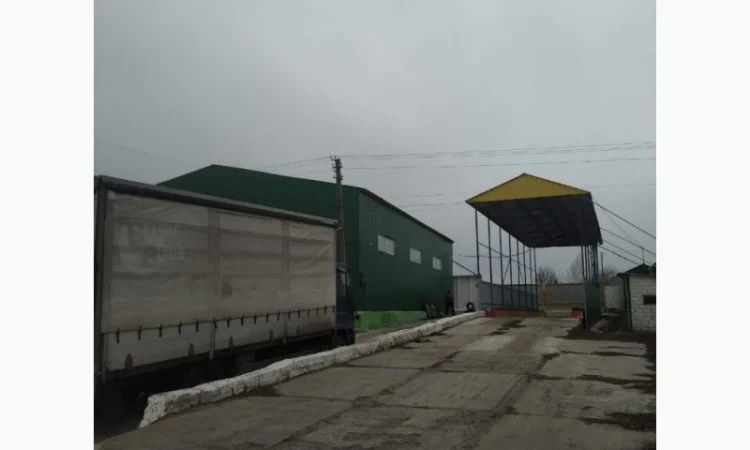 Масло растительное подсолнечное ТМ Чаролия - фото № 3