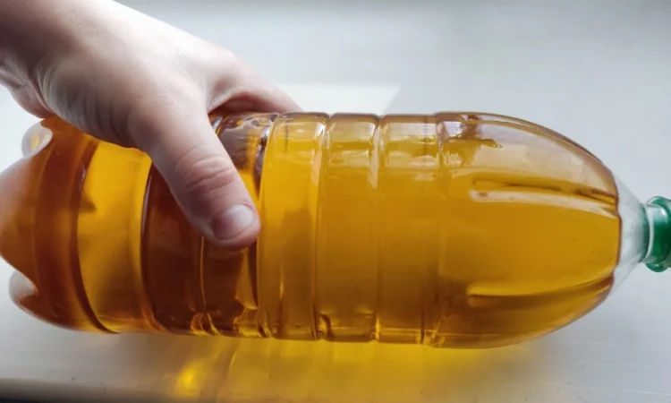 Масло подсолнечное рафинированное с производства - фото № 2