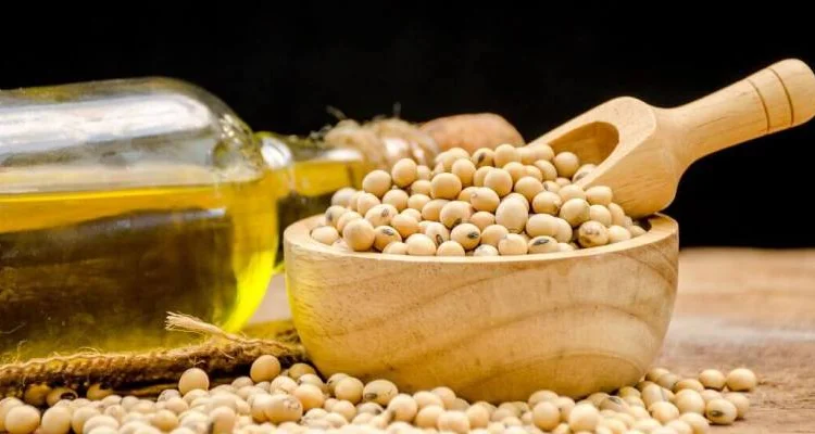 Масло соевое - фото № 1