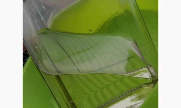 Продам ореховое масло - фото № 2