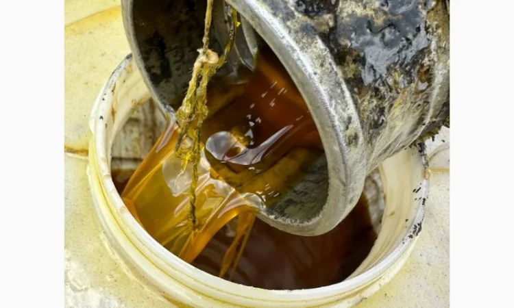 Оливу соняшникову масло подсолнечное 1 сорт техническое колу купуємо - фото № 7