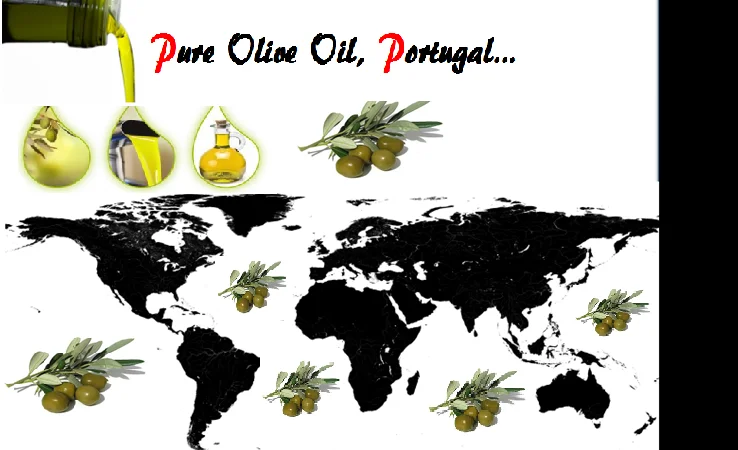 Оливковое масло разной кислотности в продаже - фото № 2