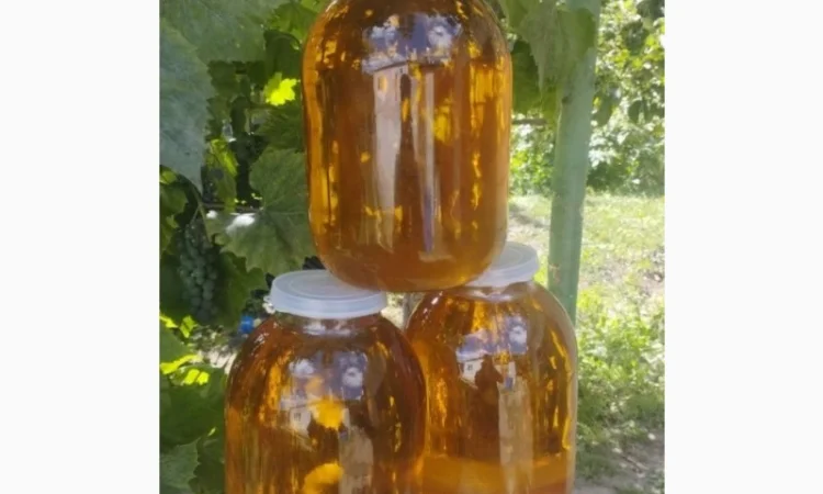 Продам нерафіновану олію - фото № 1