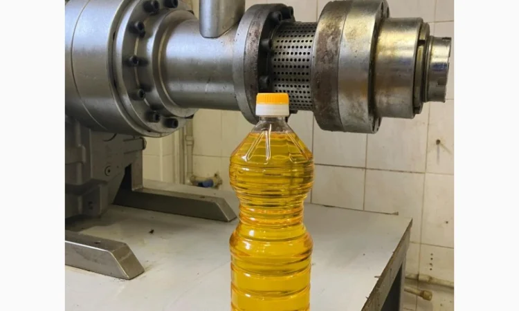 Продам олію лляну - фото № 1