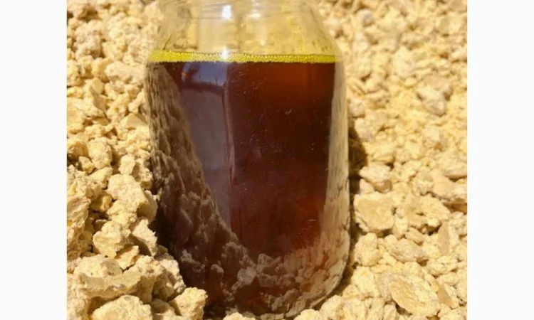 Продается соевое масло и жмых в Киеве - фото № 1