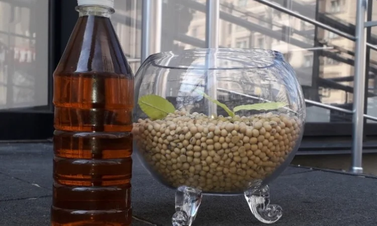 Продам соєве масло від виробника - фото № 1