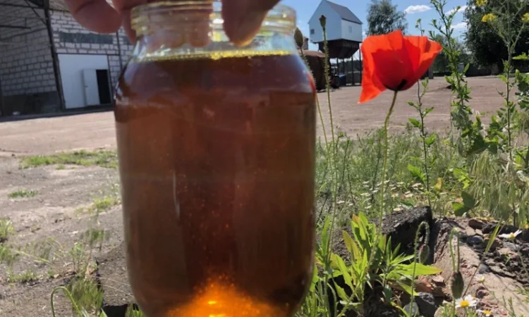 Продаємо фільтровану соєву олію від 50 кг (без фузи) - фото № 1