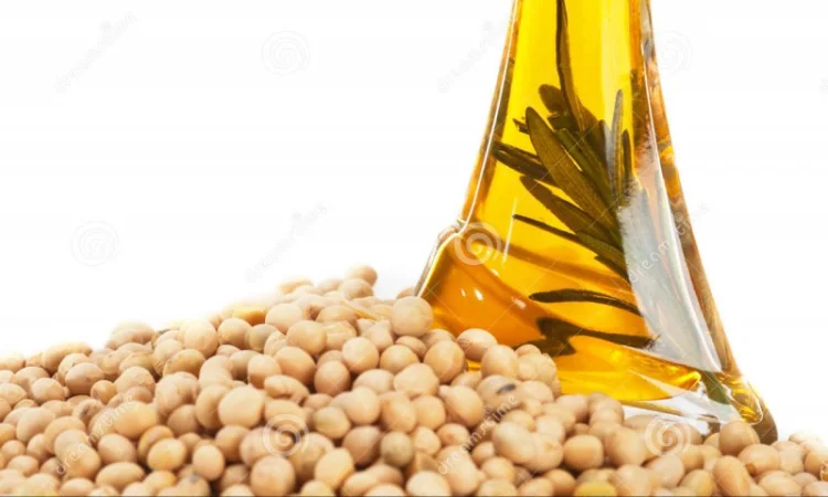 Продажа соевого и подсолнечного масла от поставщика на экспорт и внутренний рынок - фото № 1