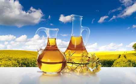 Масло рапсове для корму або технічне до 300 PPM тільки експорт - фото № 1