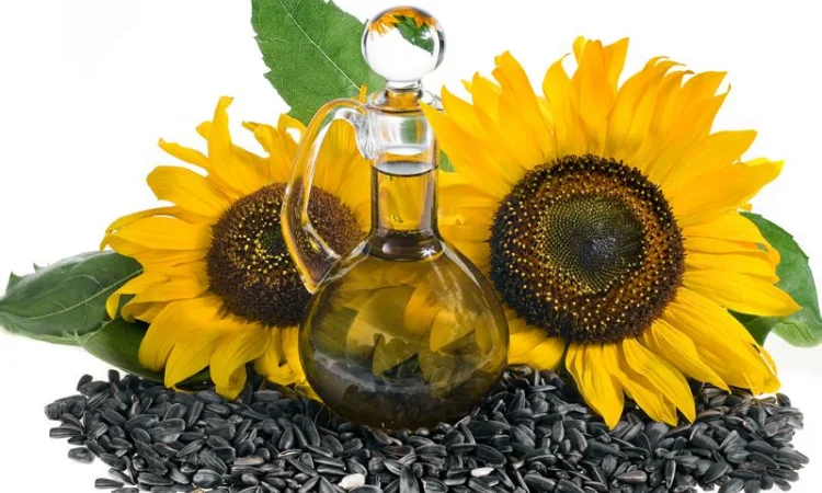 Масло подсолнечное рапсовое, кукурузное соевое только прямой экспорт - фото № 1