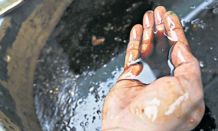 Куплю растительное масло с кислотностью до 25 KOH - фото № 2