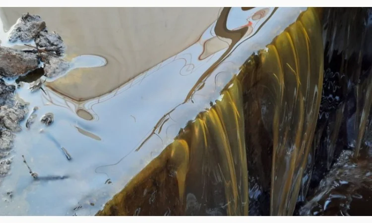 Куплю растительное масло с кислотностью до 25 KOH - фото № 1