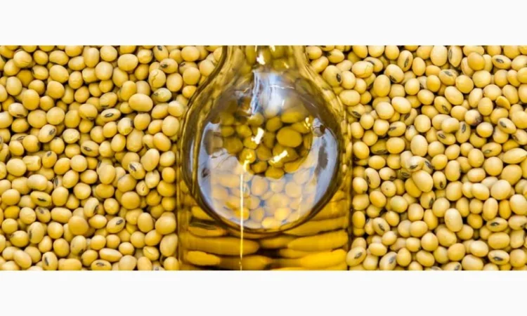 Продам олію соєву та оболонку соєву, Вінницька обл - фото № 1