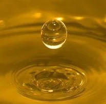 Купимо олію соєву !! FCA Західна Україна 900Є - фото № 1