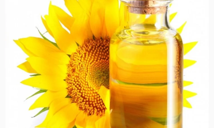 Продается нерафинированное подсолнечное масло - фото № 1