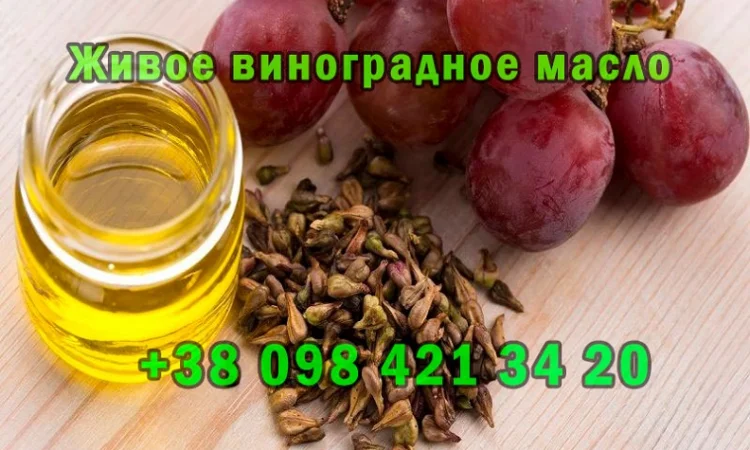 Продается свежевыжатое виноградное масло - фото № 2