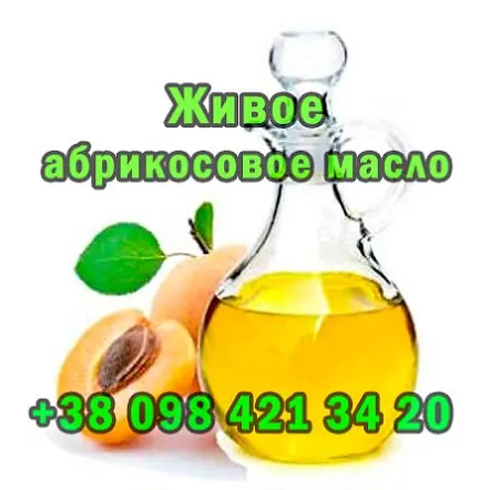 Продaю свeжeвыжaтоe aбрикосовоe мaсло - фото № 1
