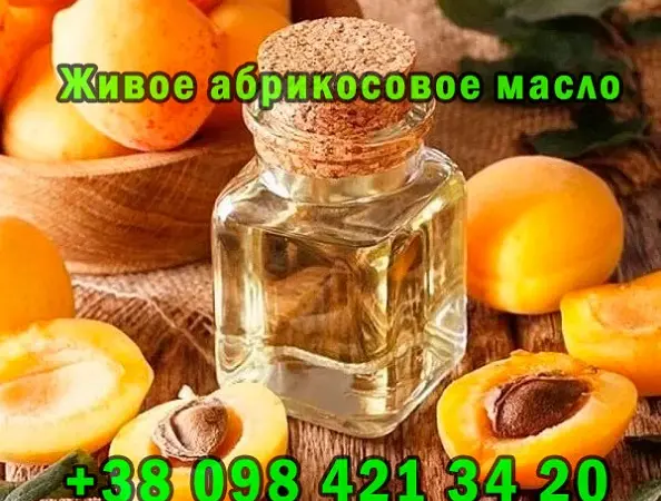 Продaю свeжeвыжaтоe aбрикосовоe мaсло - фото № 2