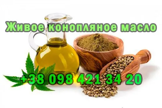 Продам свежевыжатое масло из технической конопли - фото № 1