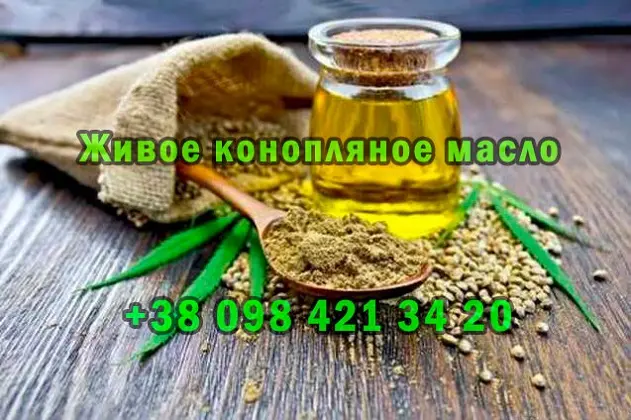Продам свежевыжатое масло из технической конопли - фото № 2
