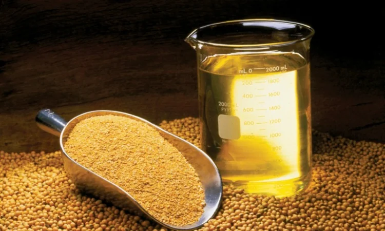 Купуємо нерафіновану соєву олію в Польщі - фото № 1