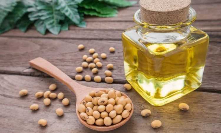 Продам олію соєву, Вінниця - фото № 1