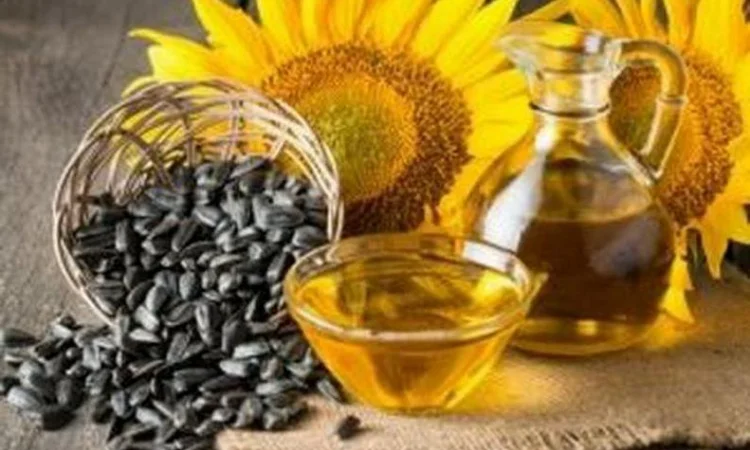 Купую подсолнечне відпрацьоване масло - фото № 1