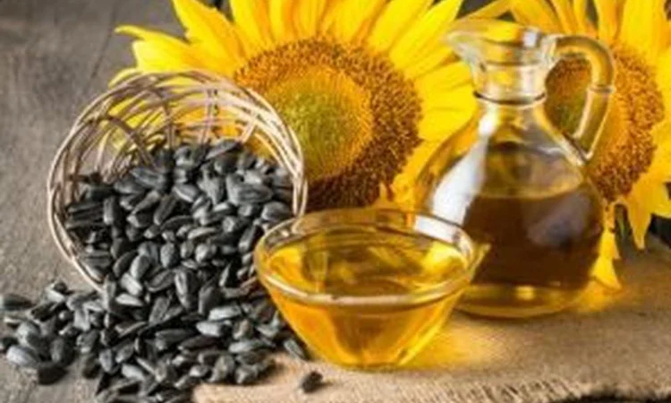 Куплю отработанное подсолнечное масло - фото № 1