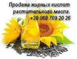 Продажа жирных кислот растительного масла недорого - фото № 1