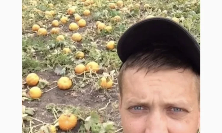 Гарбузова олія - фото № 2