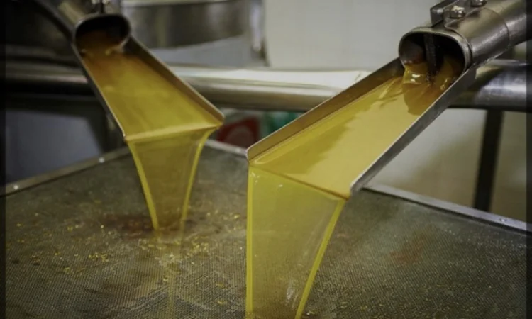 Продается рафинированное подсолнечное масло наливом - фото № 1