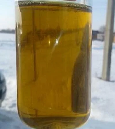 Продам техническое масло растительное в ассортименте - фото № 1