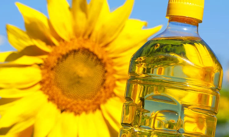 Продається рафінована олія соняшникова - фото № 1