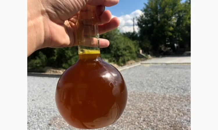 Соєва олія (нерафінована) від виробника - фото № 1