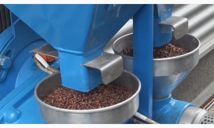 Малый пресс для отжима виноградной косточки, льна, кунжута, кокоса - фото № 3