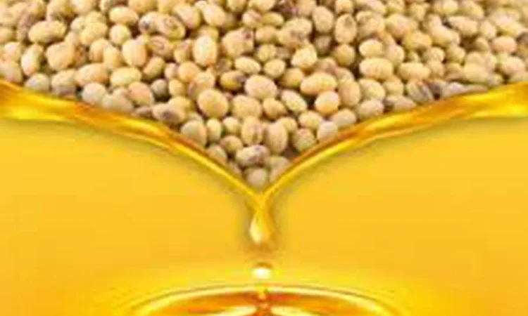 Продам олію соєву - фото № 1