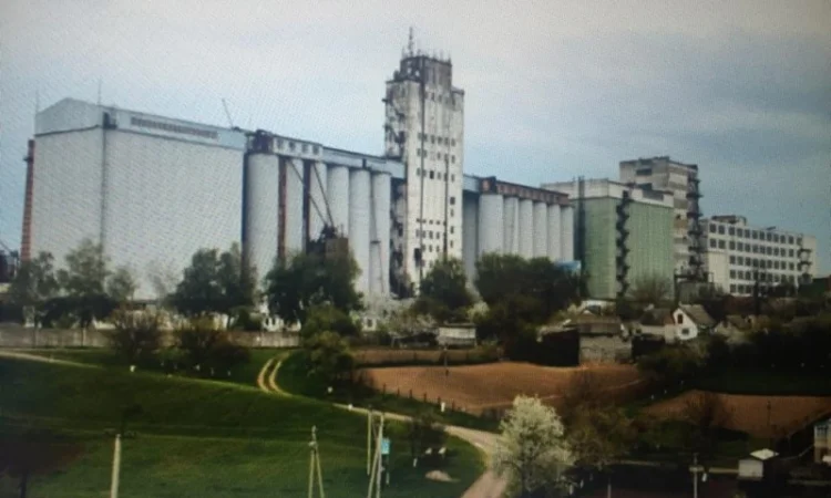 Продажа муки от украинского производителя от 500 тонн - фото № 3