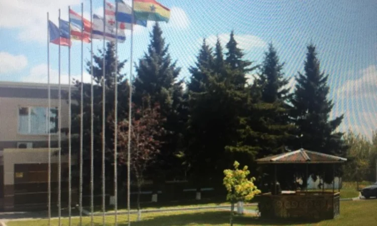 Продажа муки от украинского производителя от 500 тонн - фото № 4