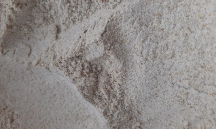 Цільнозернова мука з твердих сортів пшениці від виробника - фото № 1