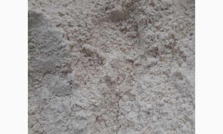 Цільнозернова мука з твердих сортів пшениці від виробника - фото № 2